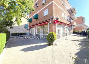 Retail for sale at Casco Histórico de Barajas, Barajas, Madrid, 28042 with plant, building, window, sky, road surface, asphalt, architecture, urban design, house and sidewalk around