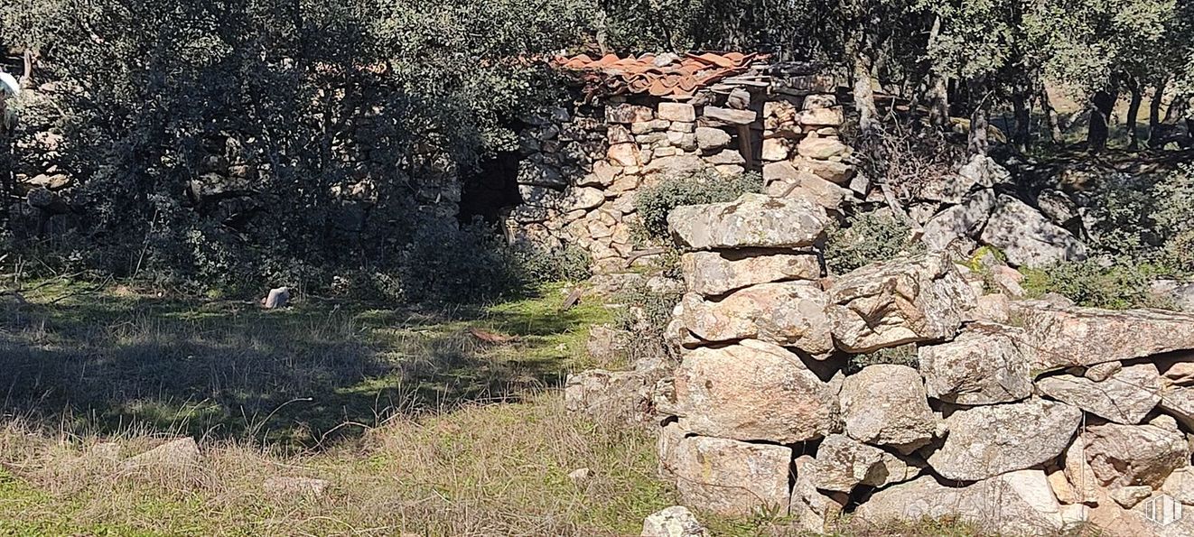 Suelo en venta en Cerro Ramos, s/n, Colmenar del Arroyo, Madrid, 28213 con planta, lecho de roca, paisaje natural, hierba, madera, paisaje, maletero, tintes y matices, cubierta vegetal y muro de piedra alrededor