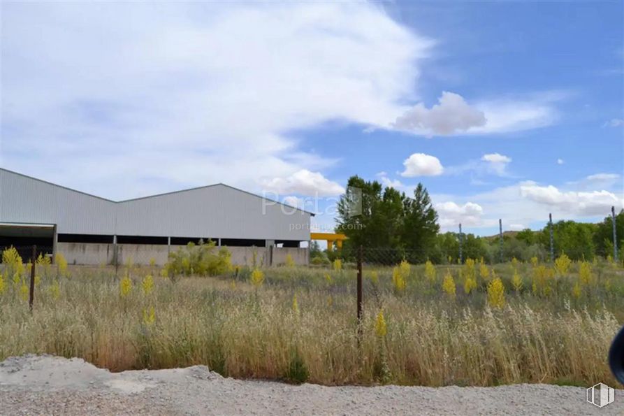 Industrial for sale at Zona Industrial, Torrejón del Rey, Guadalajara, 19174 with cloud, sky, plant, tree, building, natural landscape, grass, house, grassland and landscape around