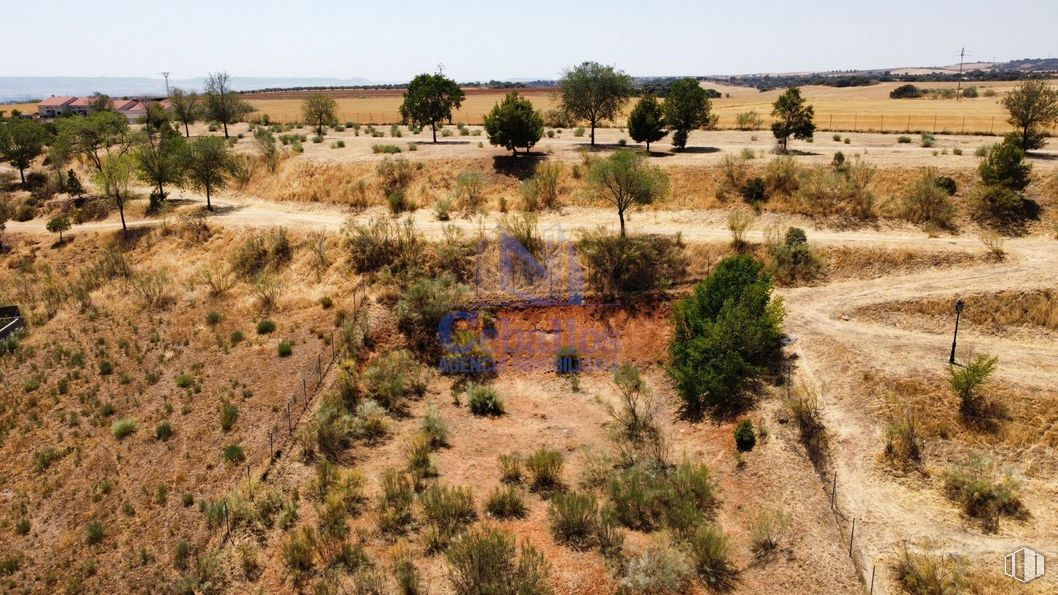 Suelo en venta en Calle Valde Hondillo, Cabanillas del Campo, Guadalajara, 19171 con planta, entorno natural, paisaje natural, árbol, lote de terreno, cielo, pradera, hierba, llano y relieve eólico alrededor