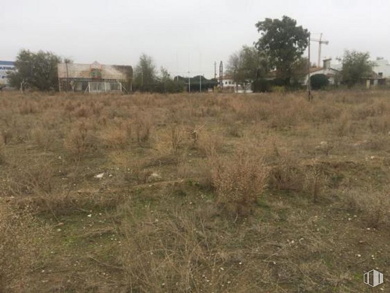 Suelo en venta en Calle Montes de León, Illescas, Toledo, 45200 con casa, cielo, planta, propiedad, comunidad de plantas, entorno natural, paisaje natural, árbol, lote de tierra y pastizal alrededor