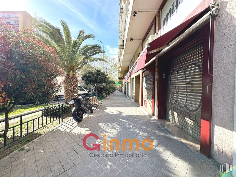 Local en venta en Calle Virgen de la Alegría, Ciudad Lineal, Madrid, 28027 con planta, edificio, cielo, infraestructura, árbol, superficie de la carretera, asfalto, ventana, barrio y arecales alrededor