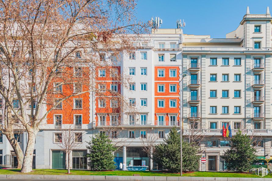 Oficina en alquiler en Paseo Recoletos, 16, Salamanca, Madrid, 28001 con edificio, planta, día, propiedad, ventana, cielo, árbol, diseño urbano, bloque de torre y condominio alrededor