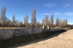 Suelo en alquiler en Calle Julio Verne, 7, Paracuellos de Jarama, Madrid, 28860 con cielo, nube, planta, árbol, paisaje natural, lote de tierra, superficie de carretera, madera, llanura y asfalto alrededor