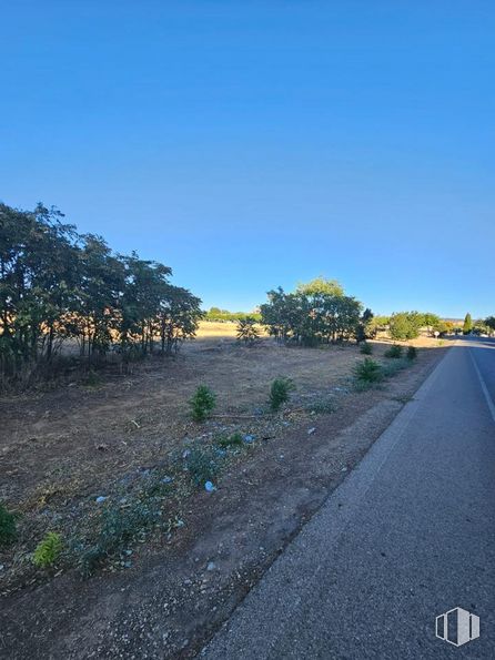 Suelo en venta en Avenida Siglo XXI, Azuqueca de Henares, Guadalajara, 19200 con cielo, planta, paisaje natural, superficie de la carretera, asfalto, árbol, hierba, carretera, paisaje y alquitrán alrededor