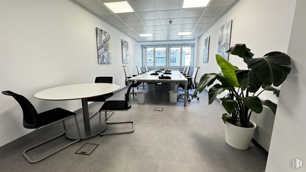 Office for rent at Plaza Carlos Trías Bertrán, 4, Tetuán, Madrid, 28020 with chair, houseplant, table, flowerpot, window, furniture, interior design, flooring, floor and ceiling around