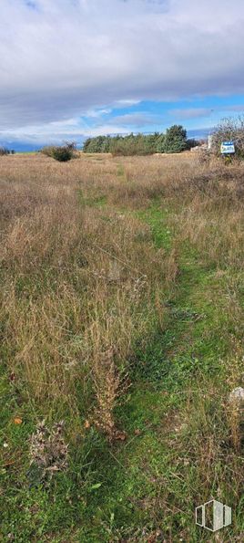 Land for sale at Camino Pajarillas, Móstoles, Madrid, 28935 with sky, blue, grass, natural environment, grassland, cloud, vegetation, ecoregion, plain and prairie around