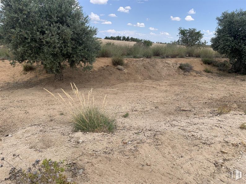 Suelo en venta en Avenida Aristóteles, s/n, Cobisa, Toledo, 45111 con planta, cielo, nube, paisaje natural, lote de terreno, árbol, lecho de roca, arbusto, pradera y paisaje alrededor