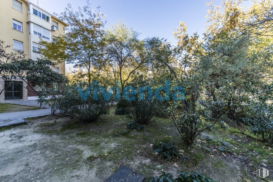 Local en alquiler en Calle López de Hoyos, Hortaleza, Madrid, 28016 con edificio, planta, cielo, ventana, ramita, paisaje natural, hierba, árbol, arbusto y paisaje alrededor