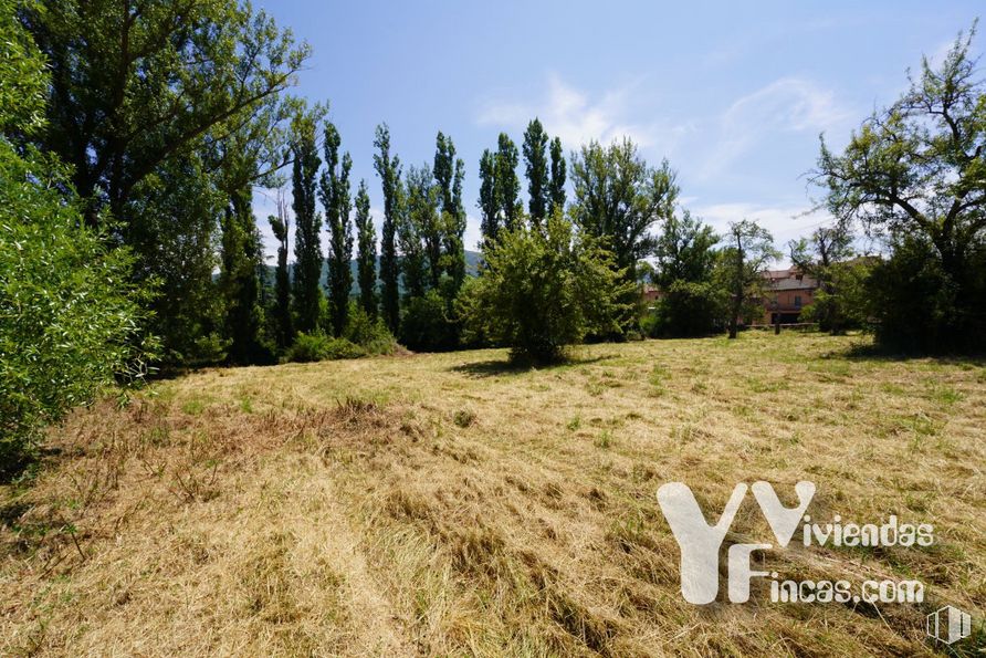 Land for sale at Calle Bajada Escorial, 1, Riaza, Segovia, 40500 with sky, plant, cloud, natural landscape, tree, shrub, landscape, plain, grass and road around