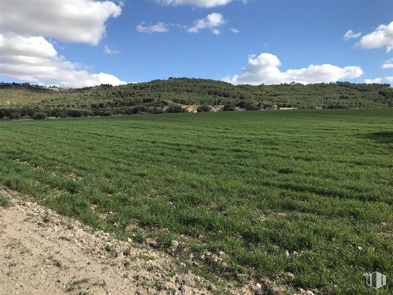 Land for sale at Finca Valdeapa, Chiloeches, Guadalajara, 19160 with cloud, sky, plant community, plant, natural landscape, highland, agriculture, mountainous landforms, grass and landscape around