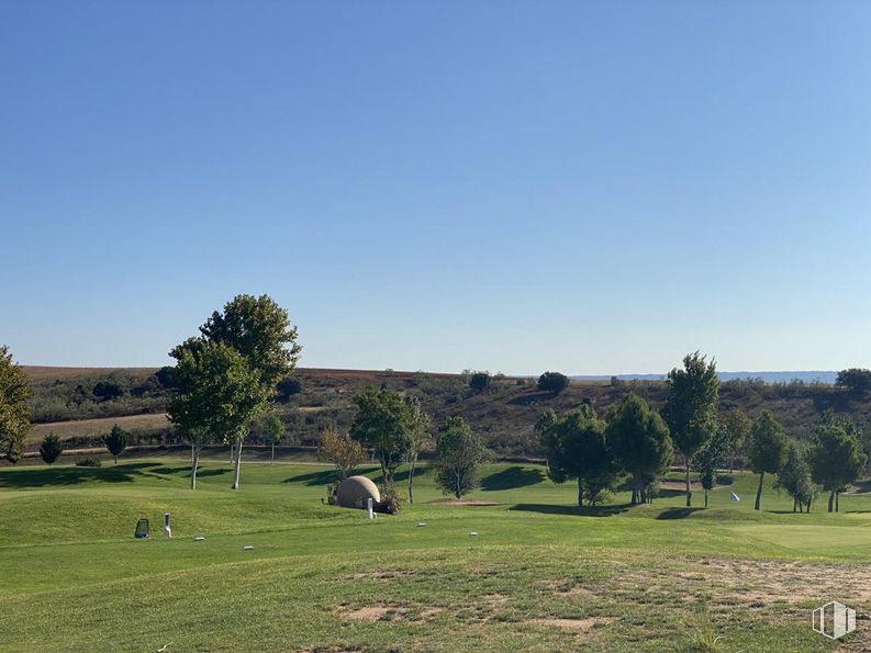 Suelo en venta en Campo de Golf Green Sire Golf, Cabanillas del Campo, Guadalajara, 19171 con animal, cielo, planta, paisaje natural, árbol, lote de terreno, hierba, pradera, llano y paisaje alrededor