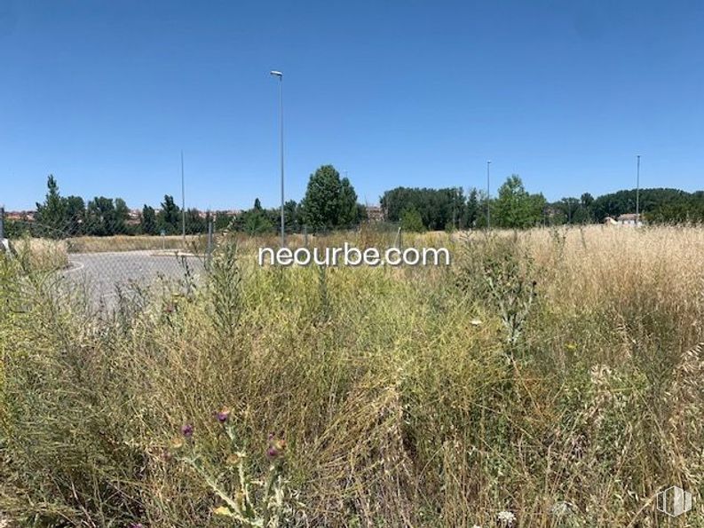 Land for sale at Calles Juan Aurelio Sánchez Tadeo, Ávila, 05003 with sky, plant, natural landscape, tree, land lot, landscape, grassland, grass, plain and meadow around