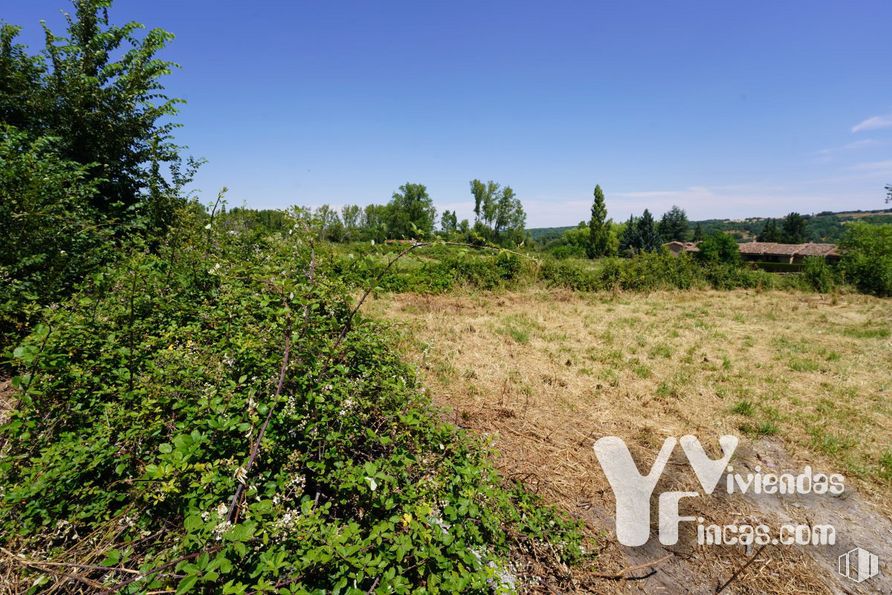 Land for sale at Calle Bajada Escorial, 1, Riaza, Segovia, 40500 with plant, sky, plant community, natural landscape, vegetation, tree, grass, grassland, groundcover and landscape around