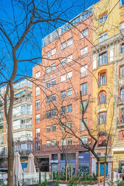 Oficina en alquiler en Calle Gonzalo de Córdoba, 17, Chamberí, Madrid, 28010 con edificio, planta, durante el día, propiedad, ventana, cielo, diseño urbano, condominio, bloque de pisos y árbol alrededor