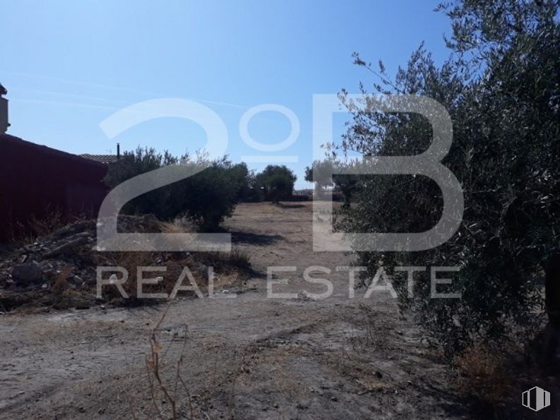 Land for sale at Calle El Molino, Calera y Chozas, Toledo, 45686 with sky, plant community, plant, natural landscape, font, landscape, tints and shades, art, facade and horizon around