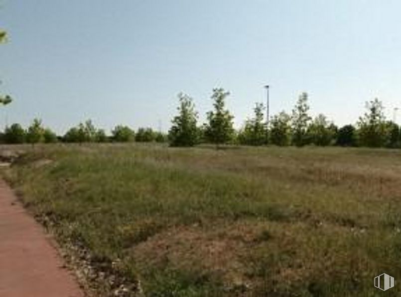 Land for sale at Zona Valdeluz, Yebes, Guadalajara, 19141 with sky, plant, natural landscape, grass, tree, grassland, asphalt, landscape, road and shrub around