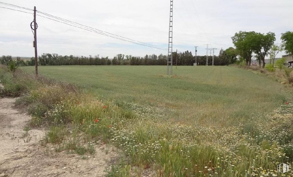 Land for sale at Zona centro, Estremera, Madrid, 28595 with sky, plant, cloud, natural landscape, land lot, overhead power line, flower, grass, grassland and tree around