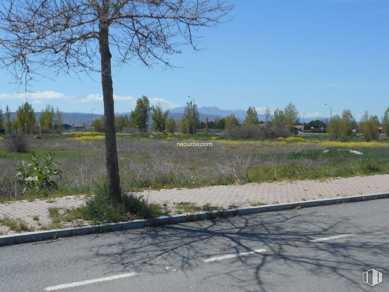 Land for sale at Calle Hoyo de Pinares, Ávila, 05002 with sky, plant, tree, road surface, cloud, asphalt, land lot, natural landscape, plain and thoroughfare around