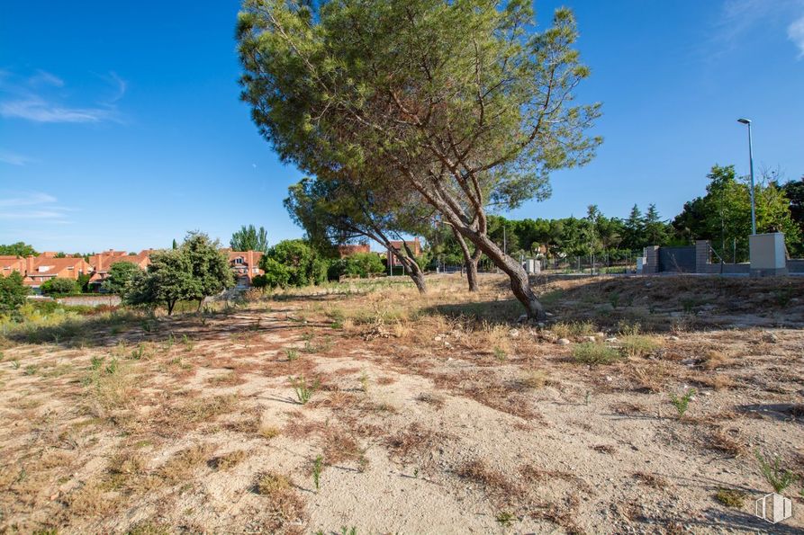 Suelo en venta en Calle Cortes, Las Rozas de Madrid, Madrid, 28015 con cielo, planta, nube, comunidad vegetal, paisaje natural, vegetación, árbol, hierba, llano y inmobiliario alrededor