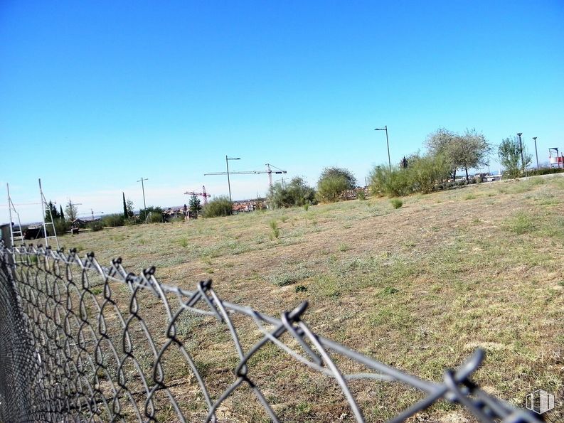 Suelo en alquiler en El Encinar, Boadilla del Monte, Madrid, 28660 con animal, cielo, planta, comunidad de plantas, ecorregión, árbol, rama, paisaje natural, luz de la calle y lote de tierra alrededor