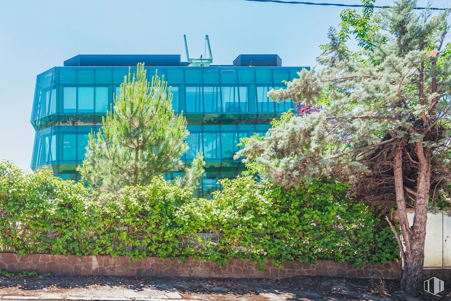 Oficina en alquiler en Calle Gobelas, 15, Moncloa - Aravaca, Madrid, 28023 con planta, cielo, edificio, botánica, azure, flor, vegetación, luz de la calle, hierba y ventana alrededor