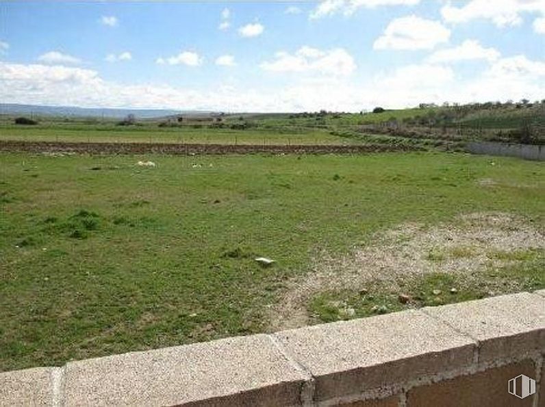 Land for sale at Calle Nueva Apertura, Mohernando, Guadalajara, 19220 with plant, cloud, sky, vegetation, natural landscape, landscape, grassland, plain, tree and grass around