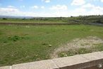 Land for sale at Calle Nueva Apertura, Mohernando, Guadalajara, 19220 with plant, cloud, sky, vegetation, natural landscape, landscape, grassland, plain, tree and grass around