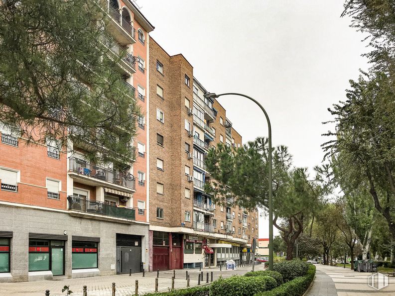 Local en alquiler en Calle Sevilla, 10, Móstoles, Madrid, 28931 con edificio, ventana, planta, cielo, día, luz de la calle, INFRAESTRUCTURA, árbol, diseño urbano y condominio alrededor