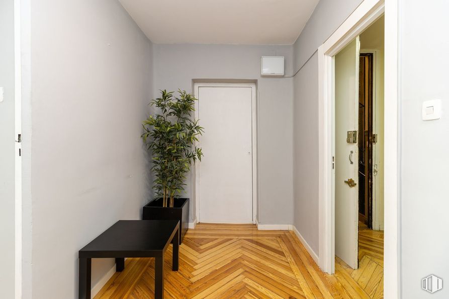 Oficina en alquiler en Calle Francisco de Rojas, 9, Chamberí, Madrid, 28010 con planta de interior, puerta, mesa, planta, suelos, suelo, pared, suelos de madera, madera y interiorismo alrededor