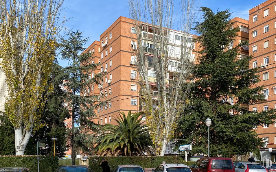 Local en alquiler en Calle México, 17, Coslada, Madrid, 28820 con edificio, coche, cielo, día, ventana, planta, árbol, vehículo, bloque de torre y condominio alrededor