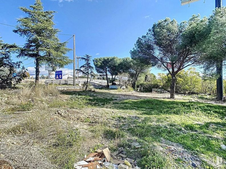 Suelo en venta en Carretera Coruña, Las Rozas de Madrid, Madrid, 28290 con planta, cielo, comunidad de plantas, árbol, paisaje natural, terreno, hierba, nube, pastizal y paisaje alrededor