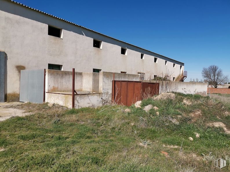 Nave en venta en Camino Tabanera, Cantimpalos, Segovia, 40360 con edificio, cielo, planta, ventana, lote de tierra, árbol, área residencial, hierba, zona rural y fachada alrededor