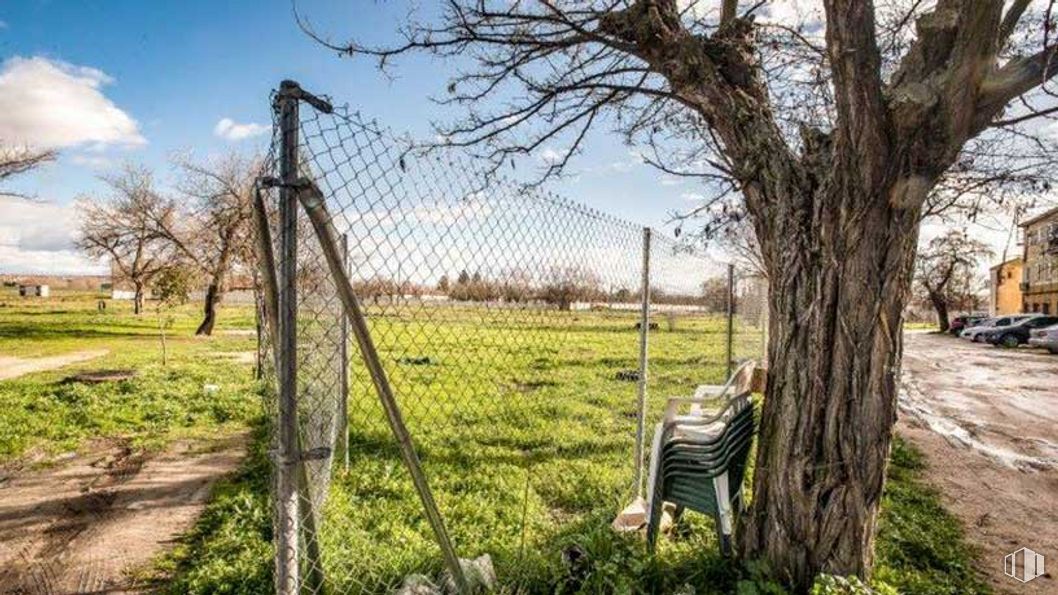 Land for sale at Avenida Aragón - Parcela T.3.5.402, 14, San Blas - Canillejas, Madrid, 28022 with plant, cloud, sky, plant community, natural landscape, tree, sunlight, land lot, wire fencing and wood around