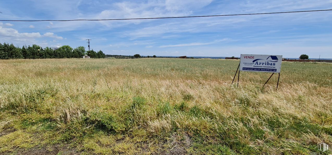 Land for sale at Zona N-403a, Escalona, Toledo, 45910 with cloud, sky, plant, natural landscape, tree, overhead power line, landscape, grassland, agriculture and grass around