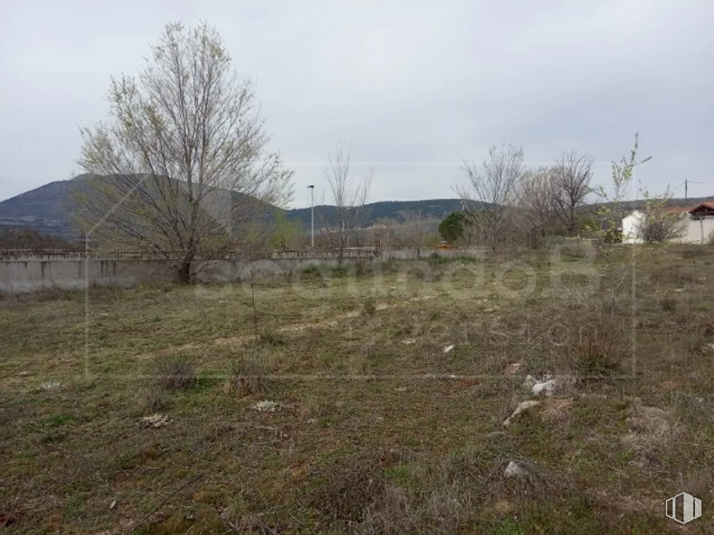 Land for sale at Calle Cruz Caídos, 12, Lozoyuela-Navas-Sieteiglesias, Madrid, 28752 with sky, plant, plant community, cloud, natural landscape, mountain, tree, land lot, house and grass around