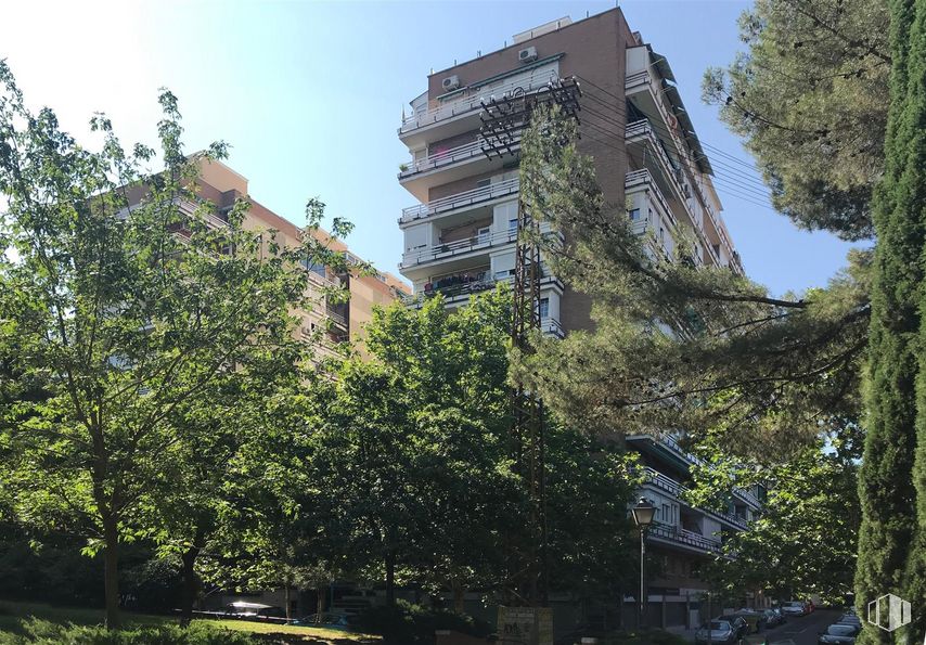 Retail for rent at Calle Virgen del Lluc, 38 , Ciudad Lineal, Madrid, 28027 with building, sky, daytime, plant, tree, vegetation, urban design, tower block, condominium and biome around