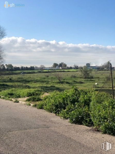 Land for sale at Calle Grama, Griñón, Madrid, 28971 with cloud, sky, plant, natural landscape, tree, land lot, road surface, asphalt, agriculture and cumulus around