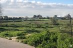 Land for sale at Calle Grama, Griñón, Madrid, 28971 with cloud, sky, plant, natural landscape, tree, land lot, road surface, asphalt, agriculture and cumulus around