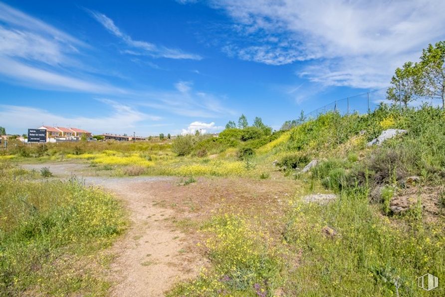 Land for sale at Calle Lisboa, Ávila, 05004 with cloud, sky, plant, natural landscape, land lot, cumulus, tree, plain, landscape and grassland around