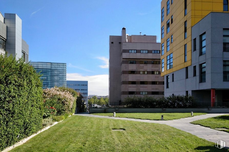 Oficina en alquiler en Edificio Espacios Baluarte, Carretera Fuencarral a Alcobendas, 14, Fuencarral - El Pardo, Madrid, 28049 con edificio, planta, cielo, ventana, nube, diseño urbano, árbol, condominio, bloque de pisos y césped alrededor