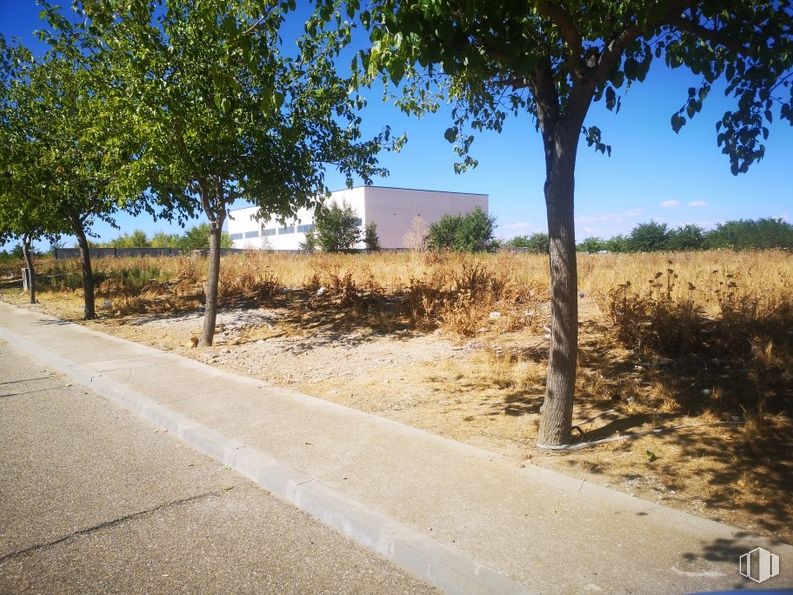 Suelo en venta en Calle Montes de Toledo, Illescas, Toledo, 45200 con casa, planta, cielo, ecorregión, entorno natural, árbol, paisaje natural, lote de tierra, sombra y superficie de la carretera alrededor