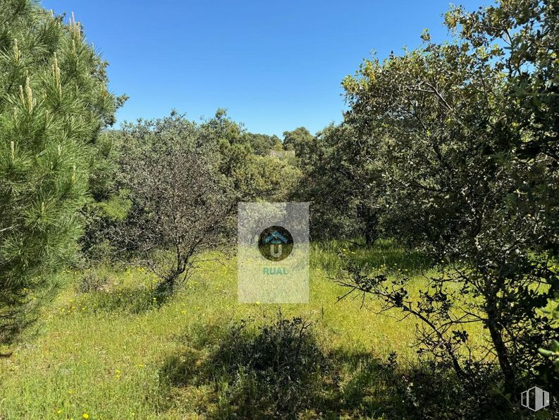 Land for sale at Calle Acacias, San Román de los Montes, Toledo, 45646 with plant, sky, natural landscape, land lot, tree, landscape, shrub, grassland, grass and recreation around