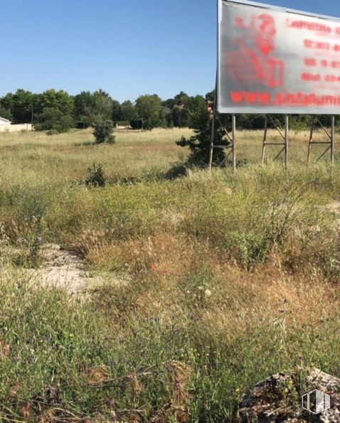 Suelo en venta en Avenida Jerez, 131, Nuevo Baztán, Madrid, 28514 con planta, cielo, comunidad vegetal, ecorregión, paisaje natural, árbol, cartelera, vegetación, lote de terreno y pradera alrededor