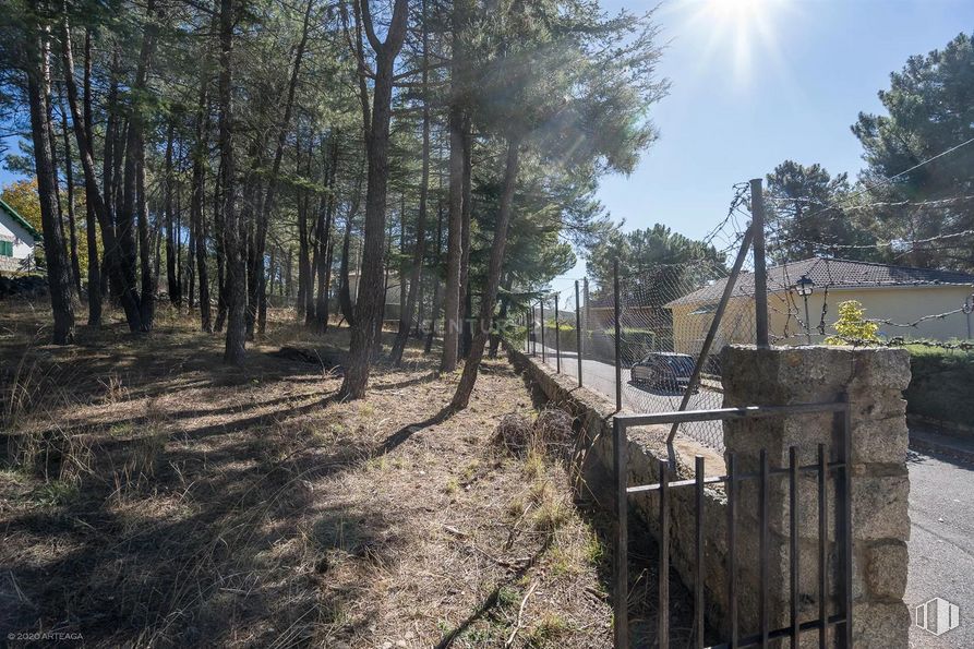 Land for sale at Calle Pino, Las Navas del Marqués, Ávila, 05239 with plant, sky, tree, branch, land lot, road surface, wood, street light, grass and fence around