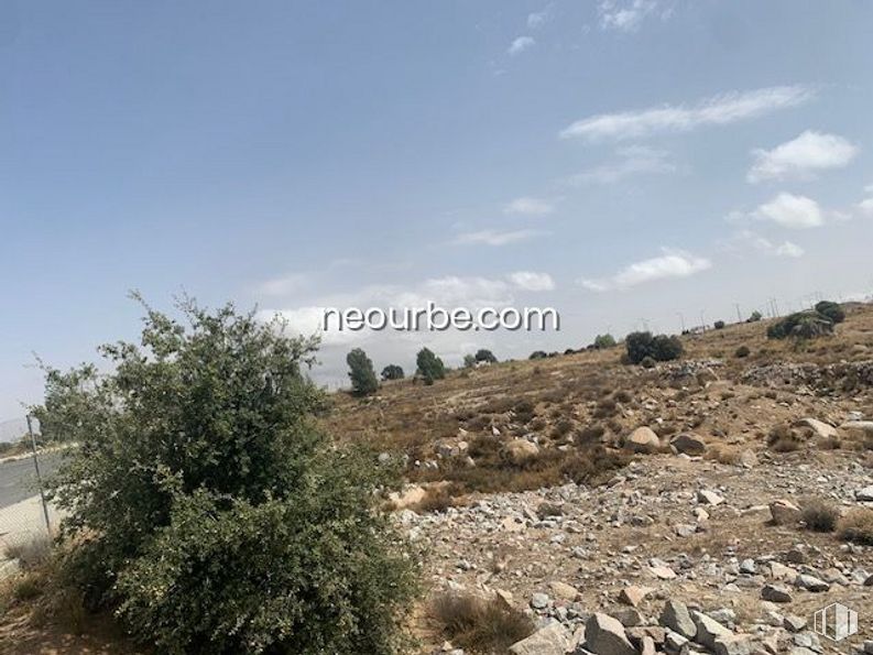 Land for sale at Calle Albacete, Ávila, 05004 with plant, animal, sky, cloud, plant community, ecoregion, landscape, bedrock, formation and natural landscape around