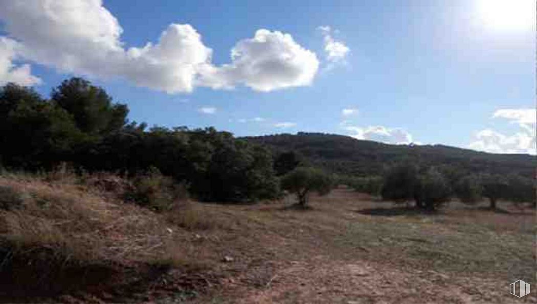 Suelo en venta en Avenida Casasola, Chiloeches, Guadalajara, 19160 con nube, cielo, planta, paisaje natural, árbol, cúmulo, pastizal, hierba, paisaje y montaña alrededor