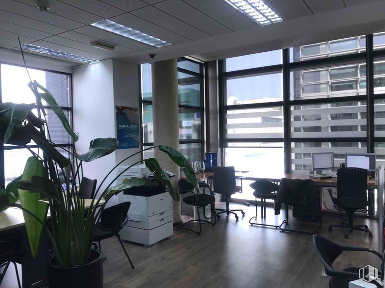 Oficina en venta en Zona empresarial, Alcobendas, Madrid, 28108 con silla, planta de interior, lámpara, mueble, alumbrado, planta, maceta, mesa, accesorio y edificio alrededor