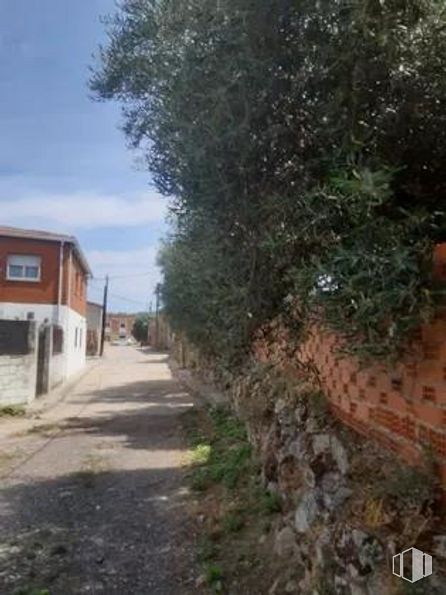 Land for sale at Calle Bosque, Cenicientos, Madrid, 28650 with house, plant, sky, road surface, landscape, rural area, grass, leopard, tree and shrub around