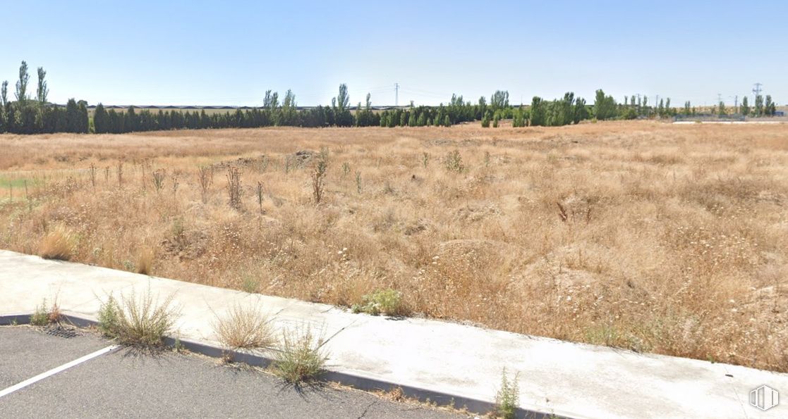 Land for sale at Plan parcial del Área Campo de Tiro, Numancia de la Sagra, Toledo, 45230 with plant, sky, plant community, ecoregion, natural landscape, land lot, vegetation, grass, tree and agriculture around